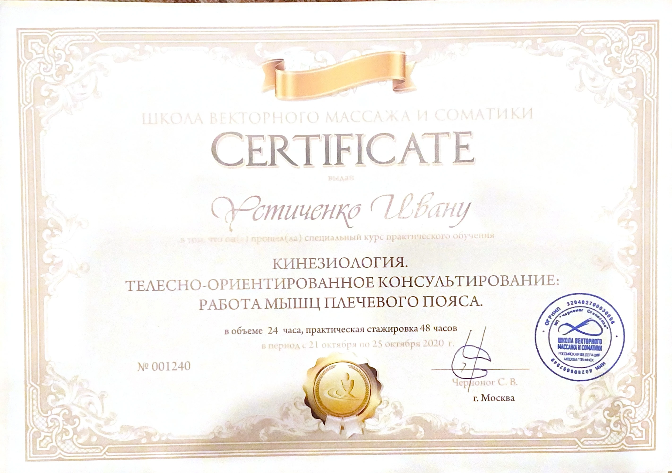 Кинезиология плечевой пояс
